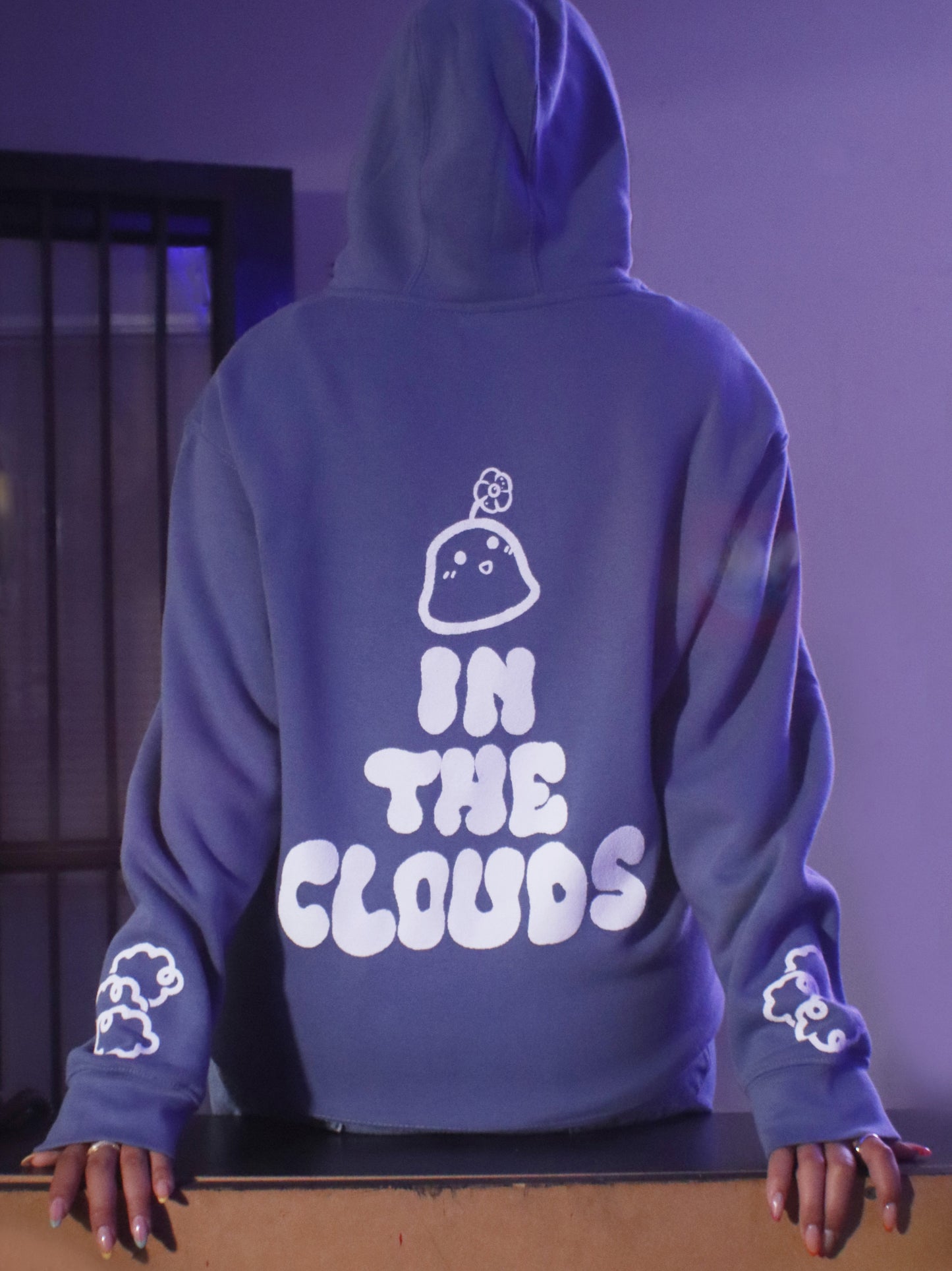 Head in the Clouds Hoodie